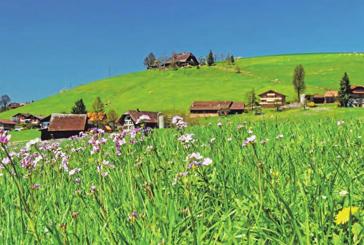 Auf der Hochebene Richtung Schallenberg liegt die kleine Gemeinde Wachseldorn. Bilder: zvg