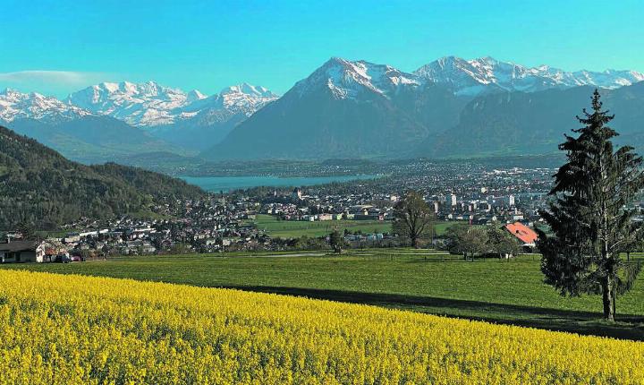 Ausblick am Hartlisberg – Steffisburg reicht weit, wobei das Ländliche nahtlos in das Städtische übergeht.