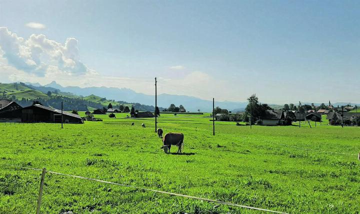 In der Streusiedlung Oberlangenegg dominiert die Landwirtschaft – mit der Stockhornbergkette im Visier.
